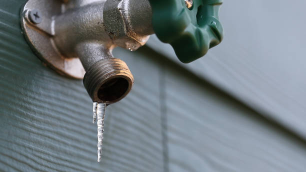 Best Commercial Plumbing Services  in Anthony, TX